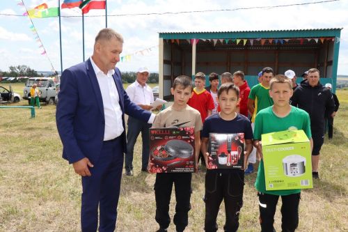 В селе Нижнее Чекурское Дрожжановского района праздновали "День родного края"