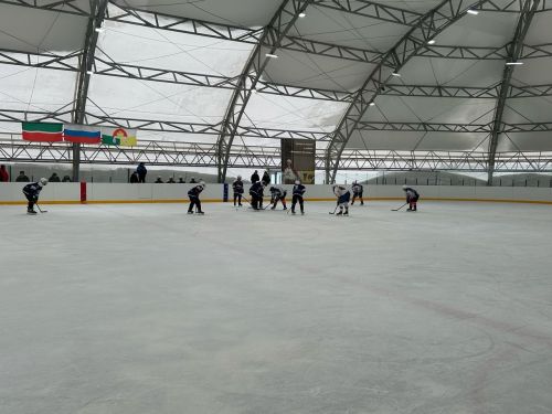 В Дрожжановском районе РТ прошел мемориал по хоккею с шайбой памяти Фаниса Загреева