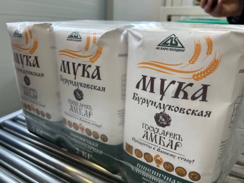 Рабочая группа Министерства экономики РТ в Дрожжаном -2024
