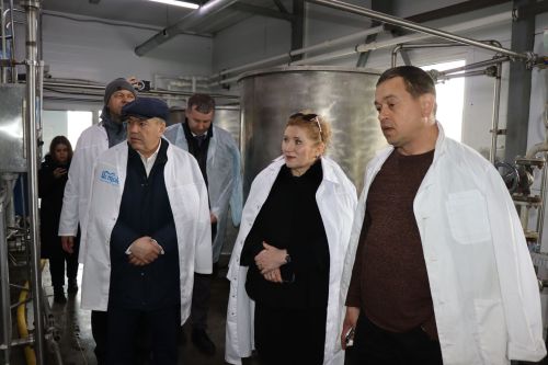 Рабочая группа Министерства экономики РТ в Дрожжаном -2024