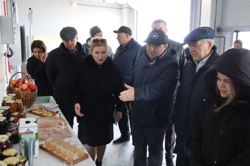 Рабочая группа Министерства экономики РТ в Дрожжаном -2024