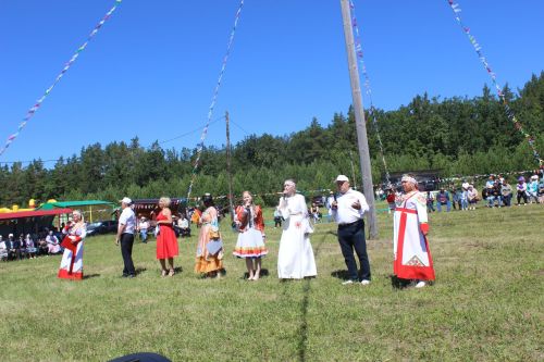 День родного края в селе Нижнее Чекурское Дрожжановского района РТ-2024