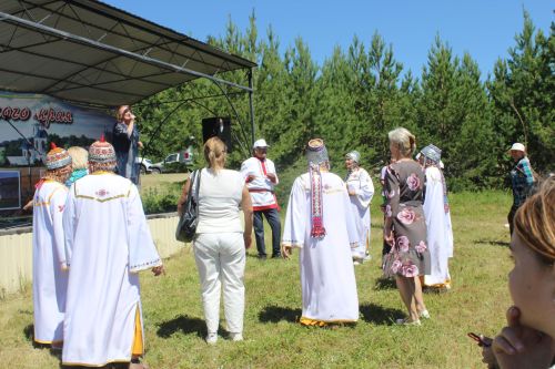 День родного края в селе Нижнее Чекурское Дрожжановского района РТ-2024