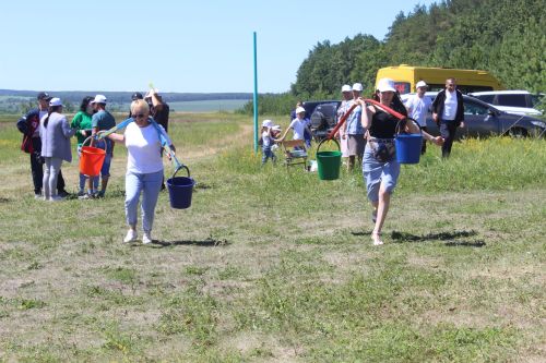 День родного края в селе Нижнее Чекурское Дрожжановского района РТ-2024