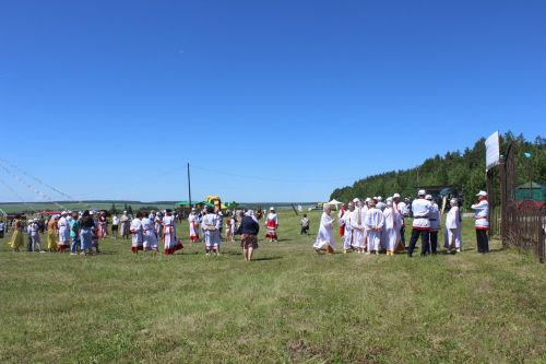День родного края в селе Нижнее Чекурское Дрожжановского района РТ-2024