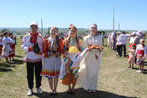День родного края в селе Нижнее Чекурское Дрожжановского района РТ-2024