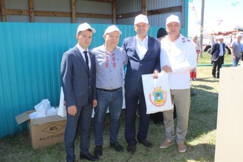 День родного края в селе Нижнее Чекурское Дрожжановского района РТ-2024