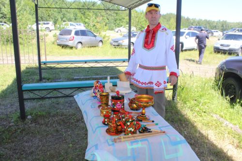 День родного края в селе Нижнее Чекурское Дрожжановского района РТ-2024