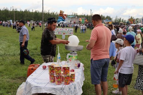 Сабантуй в Дрожжановском районе-2024: игры