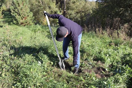 В Дрожжановском районе РТ организовали посадку деревьев