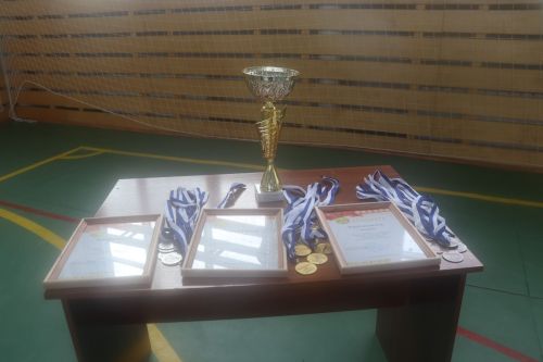 Турнир по волейболу памяти Дамира Алимова -2025