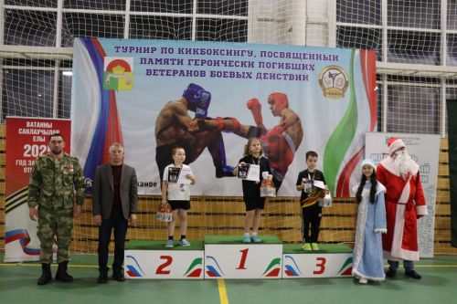 Турнир по кикбоксингу в Дрожжановском районе-2025
