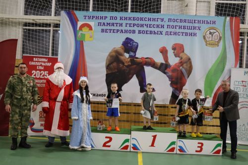 Турнир по кикбоксингу в Дрожжановском районе-2025