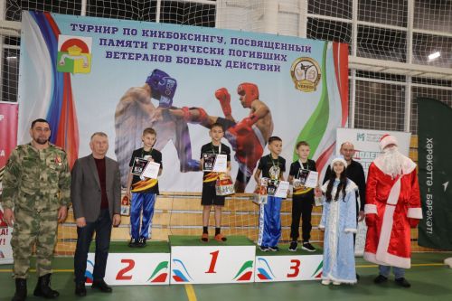 Турнир по кикбоксингу в Дрожжановском районе-2025