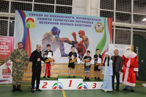 Турнир по кикбоксингу в Дрожжановском районе-2025