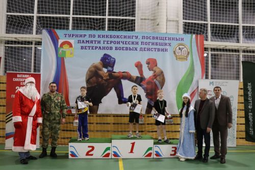 Турнир по кикбоксингу в Дрожжановском районе-2025