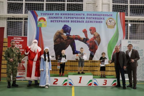 Турнир по кикбоксингу в Дрожжановском районе-2025