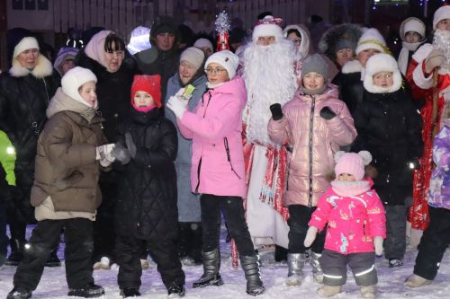 Центральная новогодняя ёлка торжественно зажглась в Дрожжановском районе