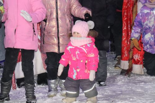 Центральная новогодняя ёлка торжественно зажглась в Дрожжановском районе