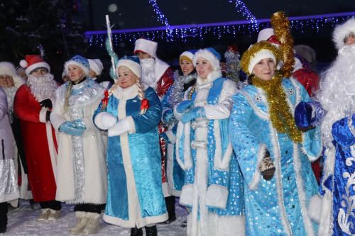 Центральная новогодняя ёлка торжественно зажглась в Дрожжановском районе