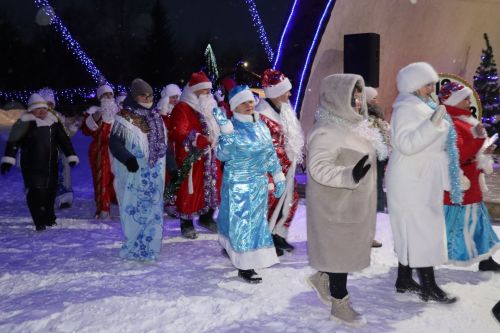Центральная новогодняя ёлка торжественно зажглась в Дрожжановском районе