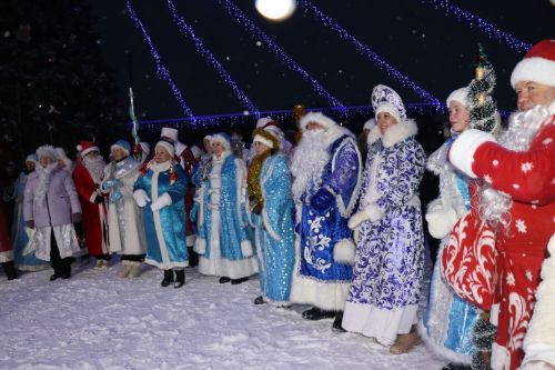 Центральная новогодняя ёлка торжественно зажглась в Дрожжановском районе