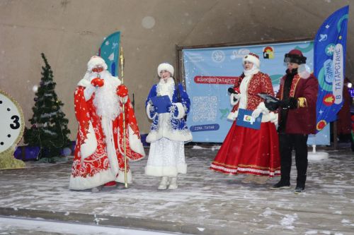 Центральная новогодняя ёлка торжественно зажглась в Дрожжановском районе