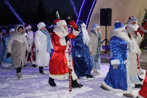Центральная новогодняя ёлка торжественно зажглась в Дрожжановском районе