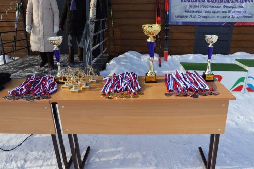 Соревнования по лыжным гонкам в честь празднования Дня защитника Отечества