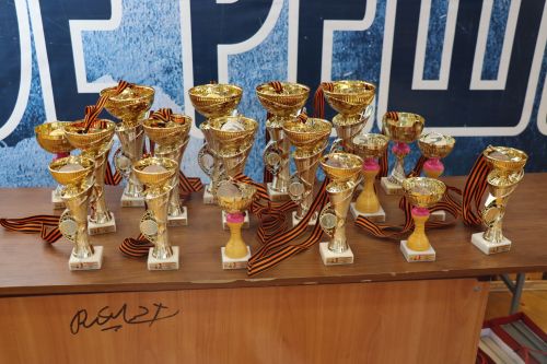 Турнир по бадминтону в Дрожжановском районе, посвящённый Году защитника Отечества