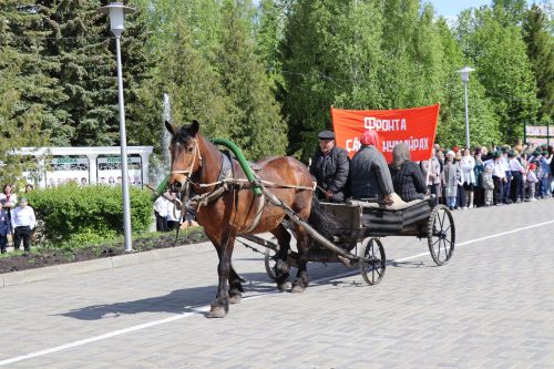 Дрожжановский район РТ отметил 80 -летие Великой Победы-2025