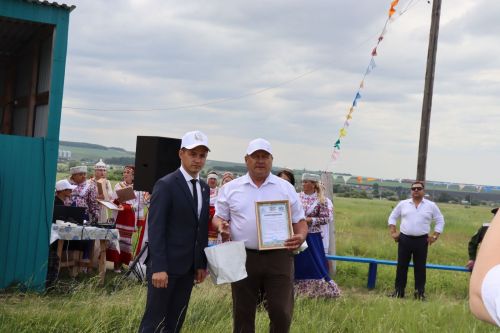 День Родного края в Нижнем Чекурске Дрожжановского района РТ -2025