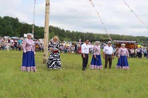 День Родного края в Нижнем Чекурске Дрожжановского района РТ -2025