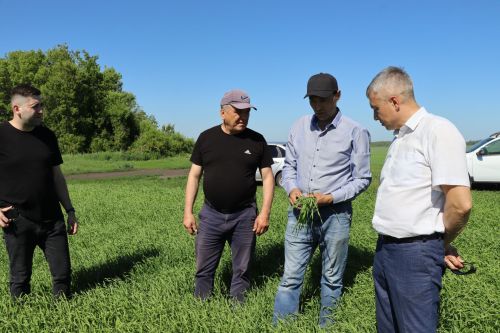 В Дрожжаном комиссия подвела итоги весенне-полевых работ -2025