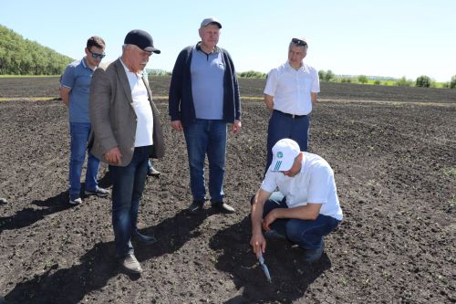 В Дрожжаном комиссия подвела итоги весенне-полевых работ -2025