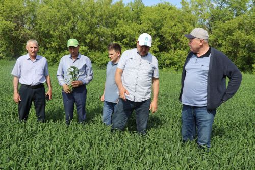В Дрожжаном комиссия подвела итоги весенне-полевых работ -2025