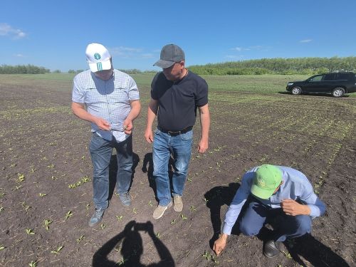 В Дрожжаном комиссия подвела итоги весенне-полевых работ -2025
