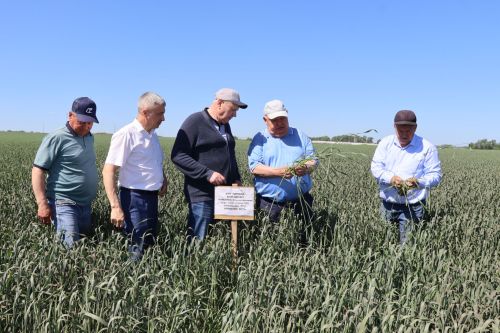 В Дрожжаном комиссия подвела итоги весенне-полевых работ -2025
