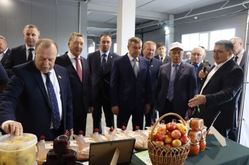 Зональный семинар -совещание  в Дрожжановском районе -2025