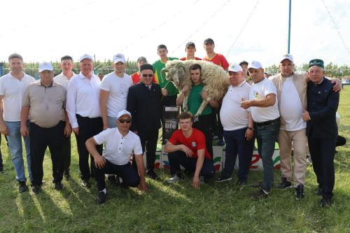 Сабантуй в Дрожжановском районе-2025