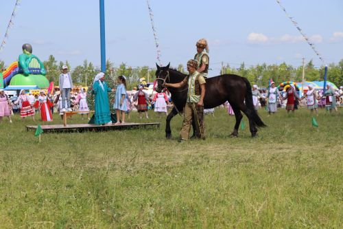 Сабантуй в Дрожжановском районе-2025