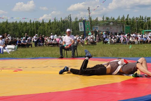 Сабантуй в Дрожжановском районе-2025