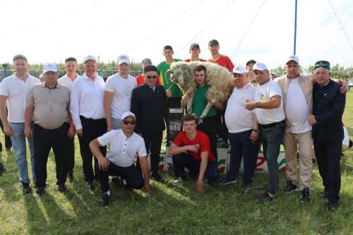 Сабантуй в Дрожжановском районе-2025
