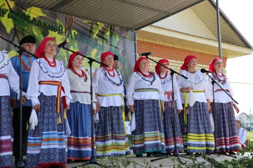 IX фестиваль духовной песни «Троицкие напевы» в Дрожжановском районе РТ