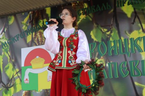IX фестиваль духовной песни «Троицкие напевы» в Дрожжановском районе РТ