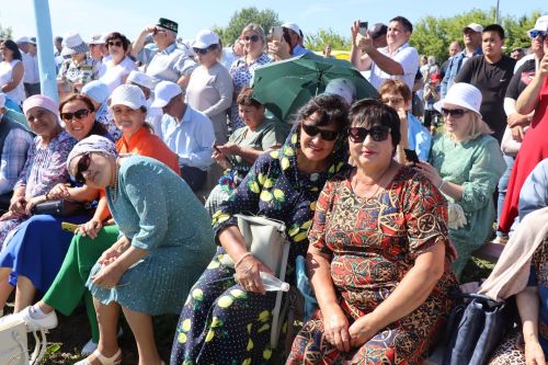 День Села в Старых Ишлях Дрожжановского района -2025