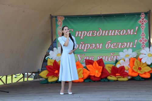 День Семьи, любви и верности в Дрожжановском районе -2025
