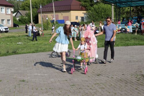 День Семьи, любви и верности в Дрожжановском районе -2025