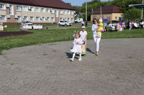 День Семьи, любви и верности в Дрожжановском районе -2025