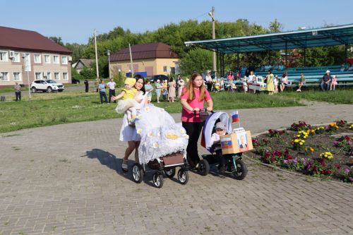 День Семьи, любви и верности в Дрожжановском районе -2025
